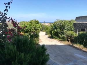 Via Carru e Frau img18