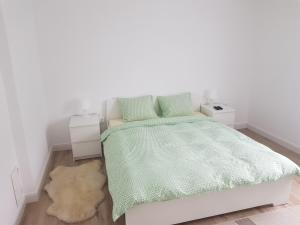 Luxury Apartment