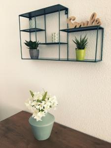 Appartements L'Ours : photos des chambres