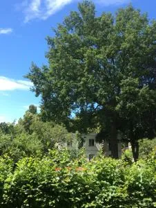 Zur Eiche Potsdam - Potsdam