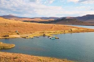 First Group Qwantani