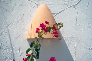 Villa Lagarta by Holiday Rentals Villamar