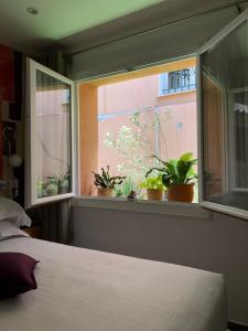 Hotels Hotel Villa Rose : photos des chambres