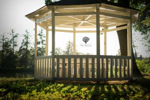 Pod Platanem Gliwice