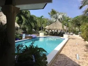 Bananas Apartments Adults Only - Malmok