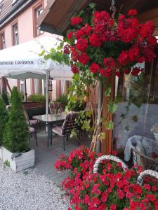 HOTEL ZAUŁEK