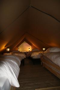 Lodges Ecolodge Beauregard : photos des chambres
