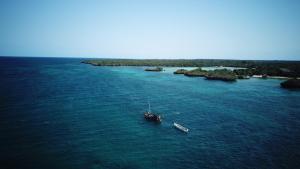 Fish Eagle Point