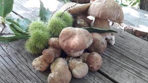 Casa Vacanze "Un sogno nel Blu'" img17