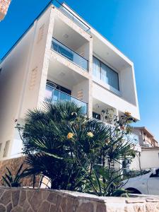 Apartmani DAR DJUROVIC