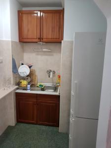 Artistic studio in Sofias top center