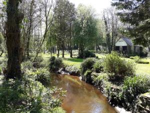 B&B / Chambres d'hotes Le vieux moulin : photos des chambres