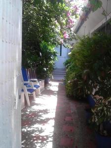 Vianovas Place Posada Nativa