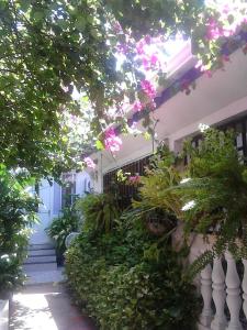 Vianovas Place Posada Nativa