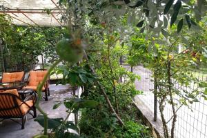 Our parents house. Family house for rent