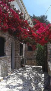 VILLA LOULAKI Magazia PAXI