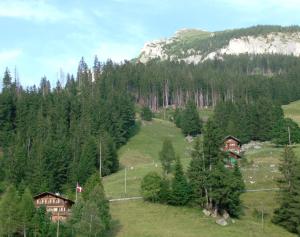 Chalet Weidli