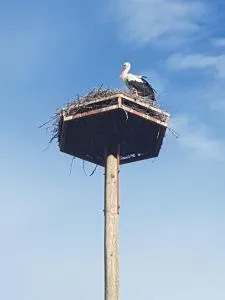 Apartment Velcom - 柳托梅尔