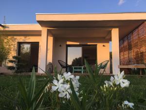 Appartements Residence U Rapalinu : Appartement