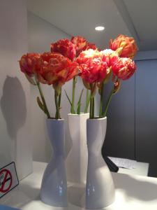 Hotels Hotel Ligure : photos des chambres