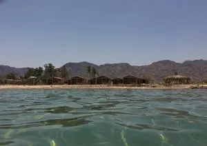 Sina Star Camp - Wāsiţ