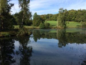 Villas GiteDordogne : photos des chambres