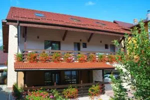 Vila Andrei - Pietrişu