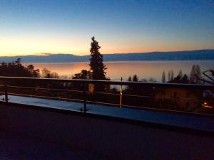 5 csillagos vend&eacute;gh&aacute;z Maison haut standing ***** Luxury house ***** Thonon-les-Bains Franciaorsz&aacute;g