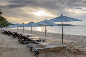 Samui Jasmine Resort - SHA Plus