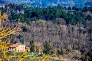 Pension fattoria poggio di dante Poppi Italien