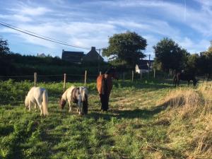 B&B / Chambres d'hotes Les Fermes de Kercadoret : photos des chambres