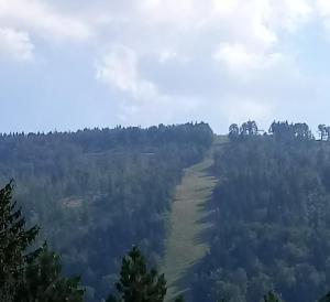Olimpijska pokoje