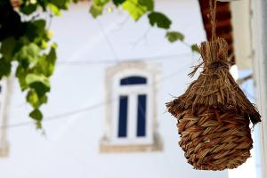 Oryza Guest House& Suites