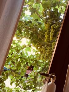 Il Portico Guesthouse img23