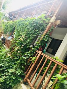 AVRA Apartments Nisos-Samothraki Greece