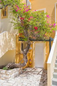 Sandy Beach Villas and Apartments Kefalloniá Greece