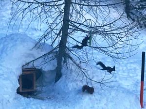 Apartment Gletscherbergblick