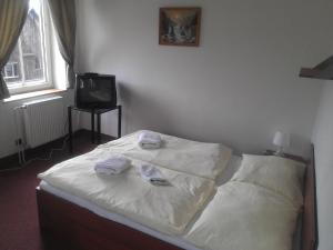 Hotel Bellevue