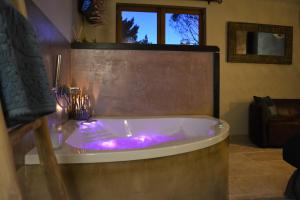 B&B / Chambres d'hotes Lavand'Ange et SPA : photos des chambres