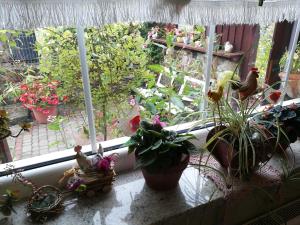 Domek Górski Strumień