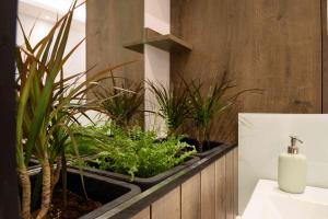 Electra & Myrto Apartments