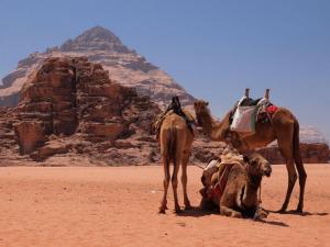 Bedouin House Camp