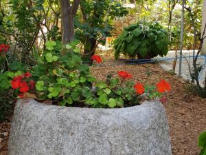 Apartments Toic Cres