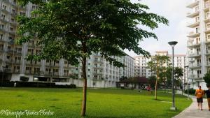 Genesis unit SMDC Fields