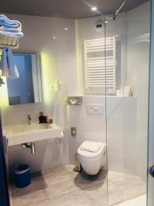 Privilege Double Room room in Colmar Hotel