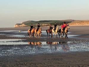Maisons de vacances Le Big Family - LE MONT DE LA LOUVE : photos des chambres