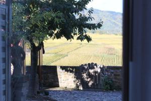 Hotels Hotel Restaurant Le Schlossberg : Suite avec Jardin