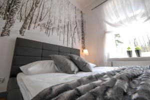 Franciszek przy Parku Szwedzkim