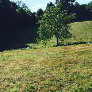 Villas GiteDordogne : photos des chambres