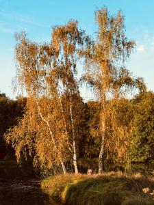 Villas GiteDordogne : photos des chambres